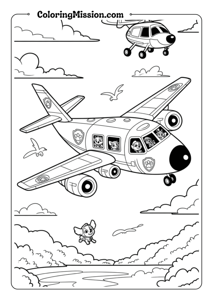 Air Patroller in Flight