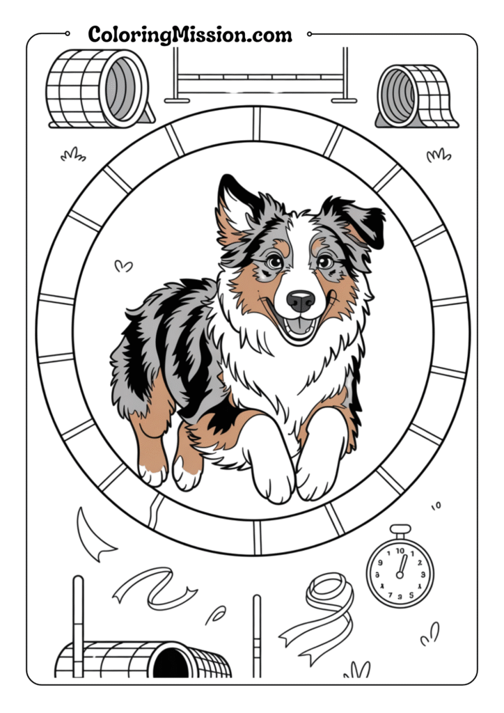 Australian Shepherd Agility Course