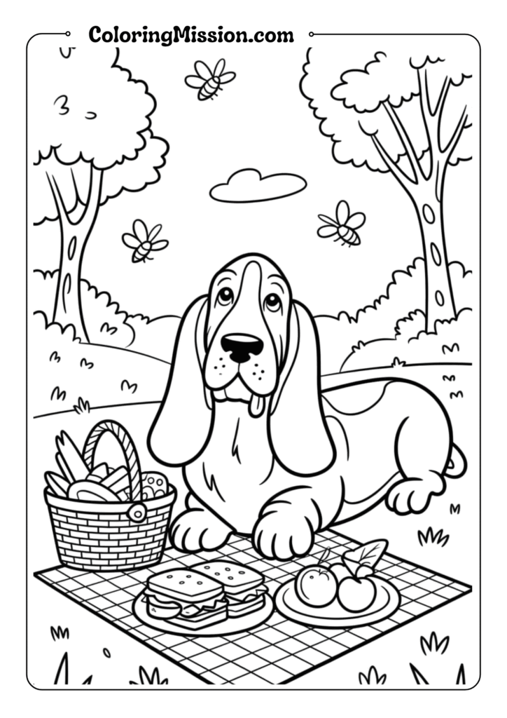 Basset Hound Picnic