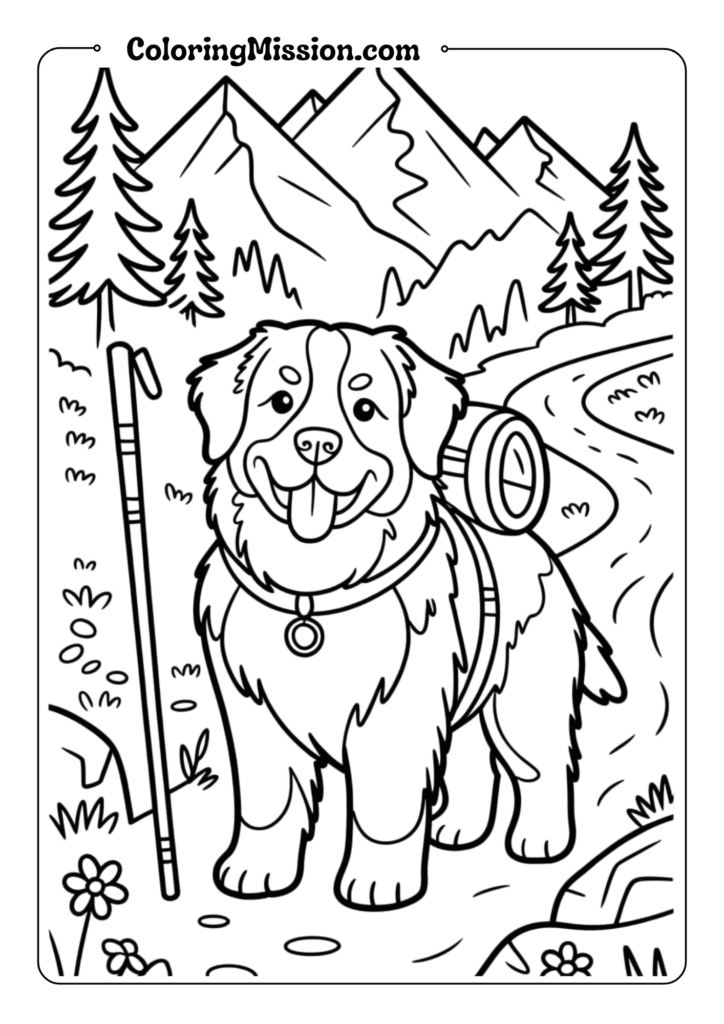 Bernese Mountain Dog Hiking