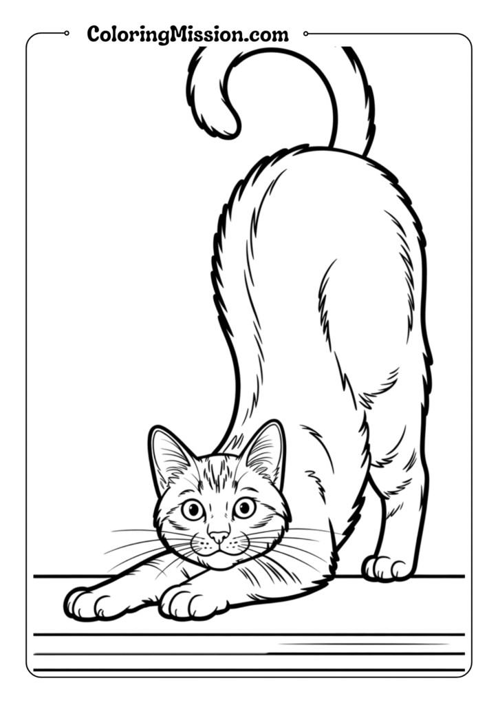 Cat Stretching