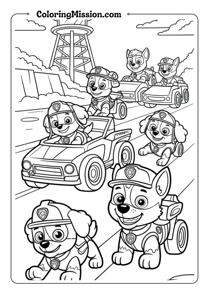 Paw Patrol Team Rescue Mission