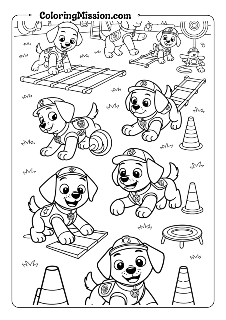 Paw Patrol Training Day