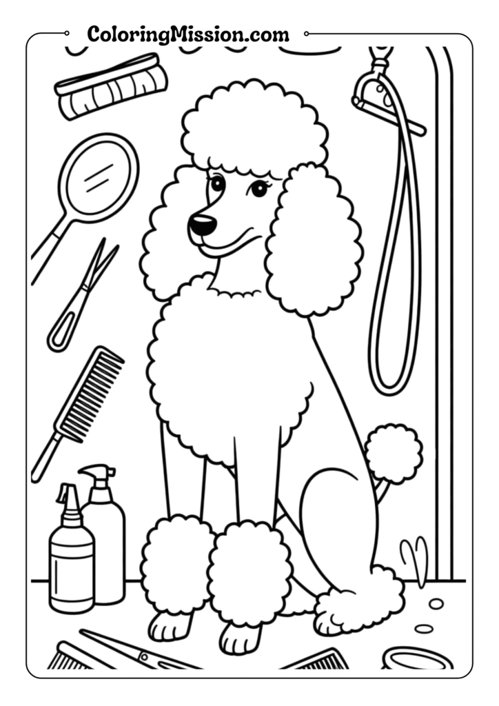 Poodle at Grooming Salon